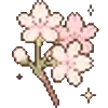 🌺