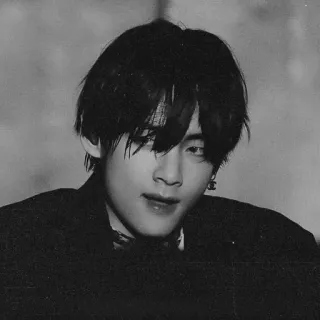 🐯 V (Kim Taehyung) kpop, bts, v, kim taehyung, penyanyi telegram sticker