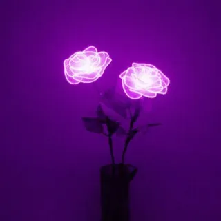 💜 fiore, rosa, luminoso, viola, neon, pianta whatsapp sticker