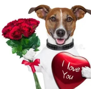 ❤ I love You dog, valentine, love, roses, heart, cute telegram sticker