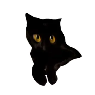 👽 gato, gato negro, animal, mascota, lindo telegram sticker