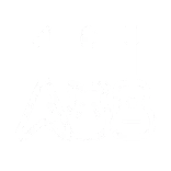 🎸