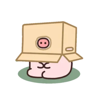 📦 豚, 動物, 箱, 可愛い, 面白い, 段ボール telegram sticker