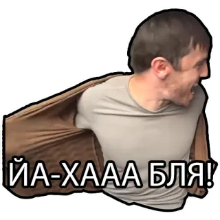 🤪 ЙА-ХААА БЛЯ! ตลก, มีม, ความก้าวร้าว, คำหยาบ telegram sticker