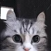 😳