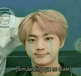 🙂 Simulanding que no duele crying, meme, sad, jin, bts, kpop telegram sticker