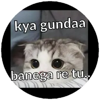 😁 kya gundaa banega re tu.. gatto, carino, meme, divertente telegram sticker