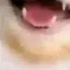 😊