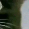 😆