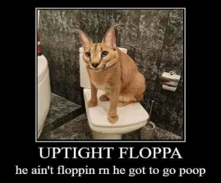 🐱 Floppa UPTIGHT FLOPPA
he ain't floppin rn he got to go poop Katze, Meme, Toilette, Floppa, Tier, Humor telegram sticker