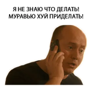 🐜 Я НЕ ЗНАЮ ЧТО ДЕЛАТЬ!
МУРАВЬЮ ХУЙ ПРИДЕЛАТЬ! meme russo, ofensivo, palavrões, insulto, xingamento, homem careca, chamada telefônica telegram sticker