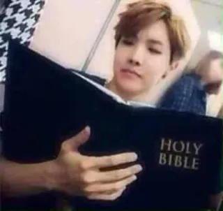 💒 HOLY BIBLE holy bible, bible, religion, book, person telegram sticker