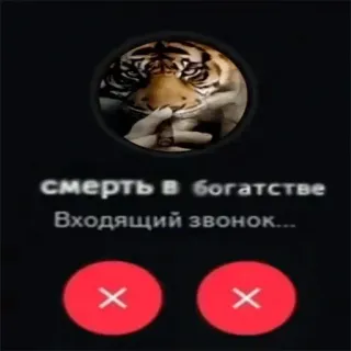 😵 Tiger смерть в богатстве Входящий звонок... tiger, incoming call, wealth, rich, meme, cigar, phone call, luxury telegram sticker