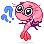 🤷‍♀️ garnaal, vraagteken, schattig, roze, cartoon, dier telegram sticker