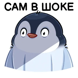 😳 САМ В ШОКЕ Pinguin, geschockt, Cartoon, süß, Tier telegram sticker
