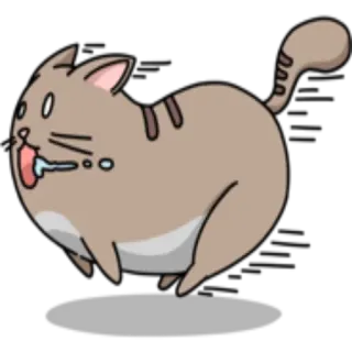 🐈 gatto, animale, carino, cartone animato, adesivo whatsapp sticker