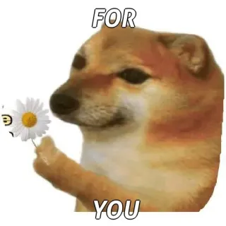 🙂 FOR YOU dog, cheems, flower, wholesome, cute, animal telegram sticker
