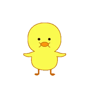 🐥 pato, fofo, animal, pássaro, amarelo, desenho animado telegram sticker