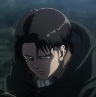 🤫 Levi Ackerman Attack on Titan anime, attack on titan, levi, levi ackerman, survey corps telegram sticker