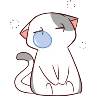 😴 mèo, dễ thương, buồn ngủ, mệt mỏi, động vật, hoạt hình telegram sticker