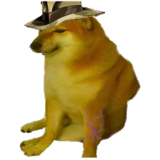 🤠 Cheems doge, cane, meme, cheems, cappello, jojo telegram sticker