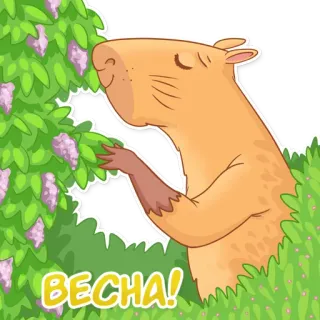 🌸 ВЕCHA! kapibara, hewan, lucu, musim semi, musim semi telegram sticker