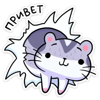 👋 ПРИВЕТ 고양이, 동물, 인사, 만화, 귀여운, 스티커, 안녕하세요 telegram sticker