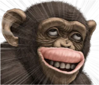 🐵 monyet, kera, binatang, primata, lucu, senang telegram sticker