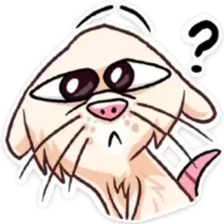 ⁉️ chat, animal, question, confus, dessin animé, autocollant telegram sticker