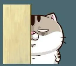 🤨 Katze, Tier, Cartoon, Süß, Haustier, Verstecken telegram sticker