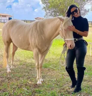 🌱 femme, cheval, animal, pantalon cuir, équitation, équestre, ferme whatsapp sticker