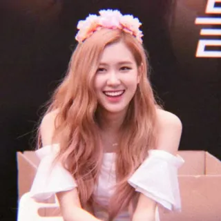 🌹 Rose Rose, cantante, celebridad, kpop, ídolo, Blackpink telegram sticker