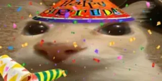 🎉 HAPPY BIRTHDAY Katze, Geburtstag, Party, Feier, Tier, Konfetti, Fröhlich telegram sticker