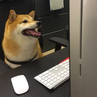 🖥 doge, chien, shiba inu, bureau, ordinateur, travail, mème telegram sticker