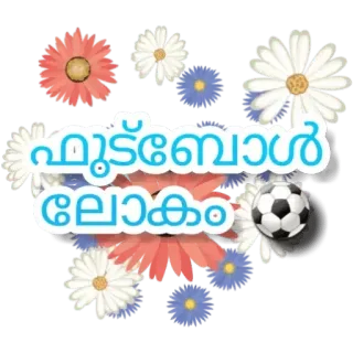 ™ ഫുട്ബോൾ ലോകം football, soccer, flowers, sports whatsapp sticker