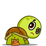 🐢