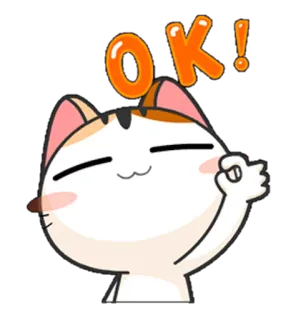 👌 OK! gato, ok, aprobación, lindo, pegatina, animal telegram sticker