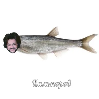 рофлы с фамилиями актеров whatsapp stickers