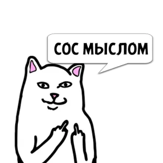 😼 СОС МЫСЛОМ 고양이, 가운데 손가락, 무례한, 불쾌한, 밈 telegram sticker