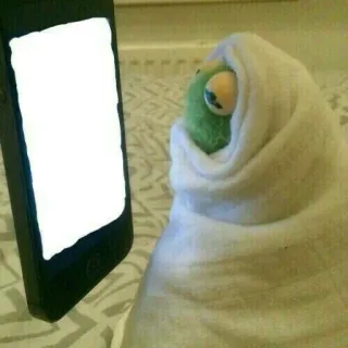 🐸 burattino, meme, schermo vuoto, telefono, carino, divertente telegram sticker