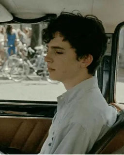 🖤 Timothée Chalamet Call Me by Your Name actor, portrait, movie, film, drama, Elio Perlman telegram sticker