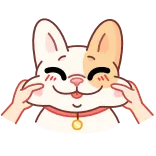 🤗 gato, sticker, animal, lindo, mascota, kawaii whatsapp sticker
