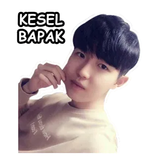 Jaehwan @wenkinyis whatsapp stickers
