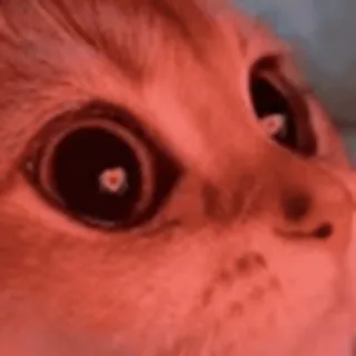 😳