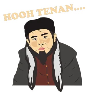 🥸 HOOH TENAN.... cartoon, man, hat, beard whatsapp sticker