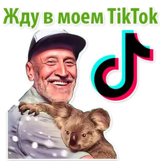 Animalist @stickersb2b telegram stickers
