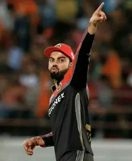 ❤️ Virat Kohli Virat Kohli, cricket, sports, India, Indian cricketer telegram sticker