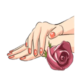 ❤ Hände, Rose, Maniküre, Nägel, Schönheit, Blume whatsapp sticker