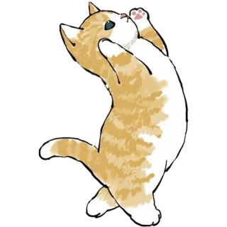 😄 kucing, imut, hewan, peliharaan, anak kucing, ceria telegram sticker