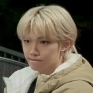 Skz telegram stickers